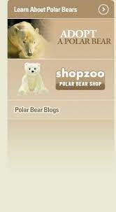 Links To Polar Cam Panda Cam Elephant Cam Ape Cam And Condor Cam At The San Diego Zoo San Diego Zoo Polar Bears Live Pet Cam