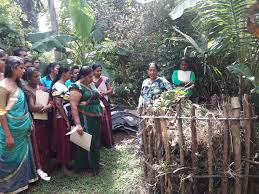 Small home garden design sri lanka. Creating A Urban Garden For All Colombo Sri Lanka Iucn
