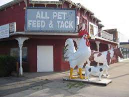 Contact us in san bernardino, california, to learn more about what our pet supply store can do for you. All Pet Feed Tack San Bernardino Ca Pet Supplies