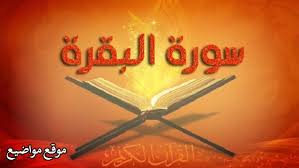 إذا رأت المتزوجه أنها أخذ المصحف من زوجها يدل على شفاء مريض من أهلها. ØªÙØ³ÙŠØ± Ø±Ø¤ÙŠØ© Ø³Ù‚ÙˆØ· Ø§Ù„Ù…ØµØ­Ù Ù…Ù† Ø§Ù„Ø³Ù…Ø§Ø¡ ÙÙŠ Ø§Ù„Ù…Ù†Ø§Ù…