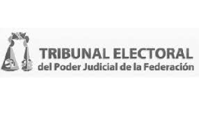 Aquí explicamos de dónde viene la palabra función. El Tepjf El Papel De Las Sentencias Del Tepjf 2018