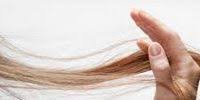 It can mean a variety of things outlined below that are worth looking into. Last Night I Dreamed Of Losing A Lot Of Hair What Does This Mean The Best Site For Horoscopes Daily Weekly Monthly Yearly Online Free
