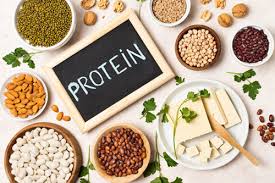 Protein – The Versatile Nutrient - Kauvery Hospital