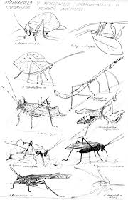 There are no two identical flowers. Couple Simple Pencil Drawing Pictures Girls Dp