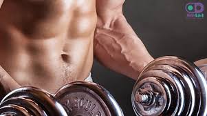 Image result for مکمل های ورزشی