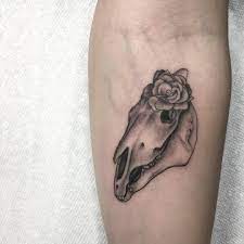 We did not find results for: Sean Arnold Georgia O Keeffe S Horse S Skull With Pink Rose