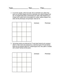 Most sexually reproducing organisms carry two copies of each gene, allowing them to carry two different alleles. Dihybrid Cross Worksheet By Goby S Lessons Teachers Pay Teachers