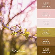 Pink Blossom Pantone Colour Palettes Palette Color Inspiration