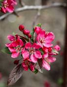 Check spelling or type a new query. 48 39