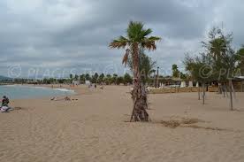 Angenehmes kleines helles studio von 19m2 im 1. Strand Port Frejus Plage Frejus Var Provence Alpes Cote D Azur