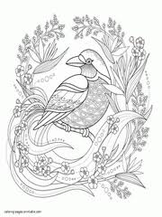 Crismis, chiristmischrismis colouring page, chrismis girl, chrismischristmaschristmas colring page, christmas pages, christmas. 34 Bird Coloring Pages For Adults Free