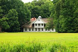 The easy answer is, try not to grow a lawn there. Should You Plant Pine Trees In Your Yard