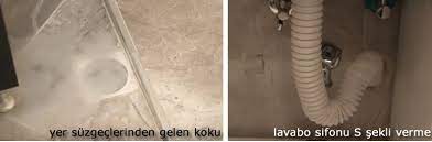 Daireden özellikle tuvalet ve banyodan kötü koku gelmesine nasıl müdahale etmek gerekir? Tuvalet Kokusu Nasil Giderilir Kesin Cozum Yollari Pro Tesisat