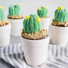 Roll out 1/2 batch of. Adorable And Easy Cactus Cupcakes Fun365