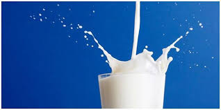 Makanan yang mengandung protein casein. Apa Bedanya Kasein Dan Whey Protein Kenali Nutrisi Susu Ini Yuk Beauty Fimela Com