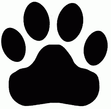 Lynx Paw Print Google Search Facts For Kids Bear Face Paw