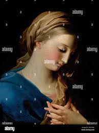 Son bernardo hi-res stock photography and images