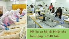 Image result for Đơn hàng dịch vụ vệ sinh nữ đến 40 tuổi HĐ 3 năm lương 300tr năm