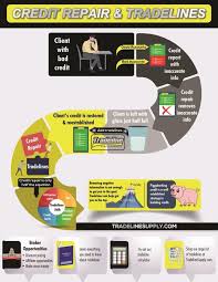 Credit Repair Vs Tradelines Infographic Credit Repair Improve Credit Credit Repair Companies