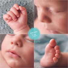 Lucy Cutler (lucyscutler)