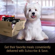 Cesar Gourmet Filets In Sauce Variety Pack Filet Mignon Flavor And New York Strip Flavor Dog Food Trays 3 5 Ounc Wet Dog Food Dog Food Recipes Canned Dog Food