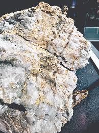 The pyrite contains the gold. Famous Gold Part Ii Thousands Of Ounces Of Gold Come To Light Down Under Rock Gem Magazine