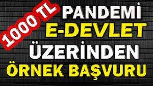 Bir zarf içinde teslim edilen bu para için başvurular halen devam ediyor. E Devlet 1000 Tl Pandemi Sosyal Yardim Ornek Basvurusu Nasil Yapilir Sosyal Yardim Basvuru Youtube