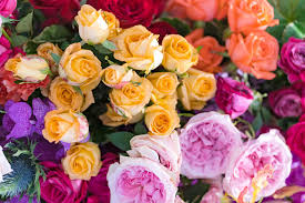 Rose Color Meanings Of 8 Different Roses - Article Onthursd