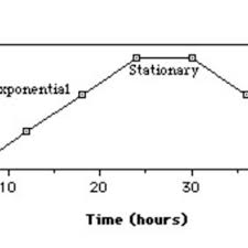 Aging takes place in a cell, an organ, or the total organism with the passage of time. Growth Curve Of Cell Culture Download Scientific Diagram