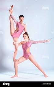 Two flexible girls gymnasts in pink leotards are doing exercises using  support and posing isolated on white background. Close-up Stock Photo -  Alamy