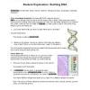 Enzymes read the dna code and build a new dna molecule from scratch. 1