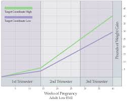 51 meticulous proper weight gain during pregnancy chart