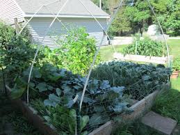 We did not find results for: Pin On Garden