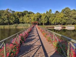 Localizarea rezervației (punctul marchează aproximativ centrul ariei protejate). Parc De Aventura Comana Photos Facebook