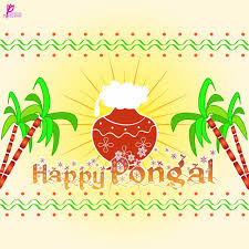 Lohri festival whatsapp, facebook, instagram greetings and wishes video $ 5. Happy Pongal Greetings Picture Card With Sms Message Happy Pongal Wishes Happy Pongal Greeting Card Image