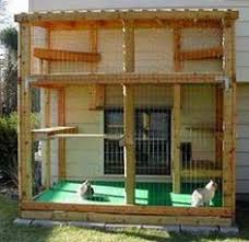 Sejak itu ayam bangkok mulai terkenal di berbagai di indonesia sendiri penggemar ayam bangkok sangatlah banyak. 510 Desain Kandang Ayam Bangkok Petelur Kampung Ideas Chickens Backyard Chicken Diy Building A Chicken Coop