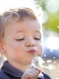 Tribute Fundraising: Vanessa Hoercher