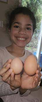 Are double yolks and large eggs normal for new chicken moms?