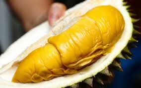 Durian ini pertama kali diperkenalkan ya, harga durian musang king sebanding dengan kualitasnya dan terbilang tinggi. Wow Harga Durian Ini Dibandrol Rp 7 Juta Perbuahnya Apa Istimewanya Minews Id