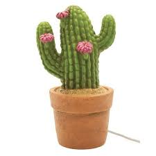 Learn more about how to nurture and enjoy many gorgeous succulents and clever decoration tips with our newsletter. Streamline Sculpture Cactus Lamp Cactus Light Cactus
