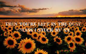 Sunflower Post Malone Wallpaper Song Lyrics Wallpaper Sunflower Quotes