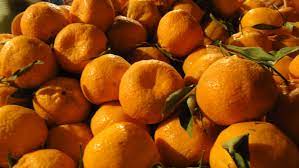 Limau mandarin tidak mengandungi sulfur dioksida. Kenyataan Akhbar Kpk 17 Januari 2017 Isu Mengenai Buah Limau Mandarin Yang Didakwa Mengandungi Bahan Kimia Sulfur Dioksida From The Desk Of The Director General Of Health Malaysia