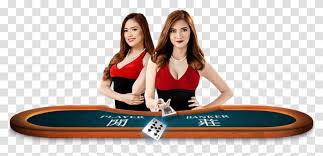 Online Casino Girl, Person, Human, Gambling, Game Transparent Png –  Pngset.com