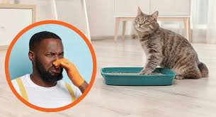 Best Cat Litter Box For Odor Control Choosing A No Smell Litter Box Best Cat Litter Cat Litter Litter Box