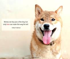 Funny Blog Posts Dog Quotes Animal Love Quotes Dog Lovers