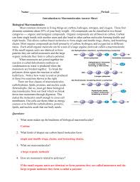 16 best images of building macromolecules worksheet answer d these pictures of this page are about:building macromolecules activity answer sheet. Macromolecule Worksheet Answer Key Doc