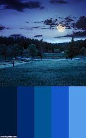 Fence On Meadow Near Forest At Night Color Scheme Blue Color Schemes Color Palette Color Of Life