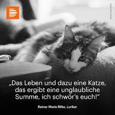 Maybe you would like to learn more about one of these? Deutschlandfunk Kultur On Twitter Weltkatzentag Fur Alle Hundefans Eurer Tag Kommt Am 10 Oktober