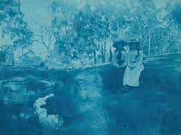 Unknown Untitled C 1900 Cyanotype Print Monash Gallery Of Art City Of Monash Collection Acquired 2012 Cyanotype Photo Art Fine Art Photo
