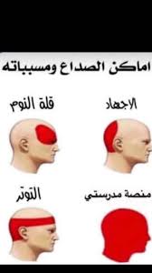 Pin On استهبال